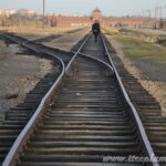 dsc 1831