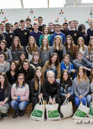 Comenius Balbriggan group